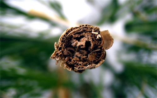 ,豆浆机上的继电器怎样判断好坏